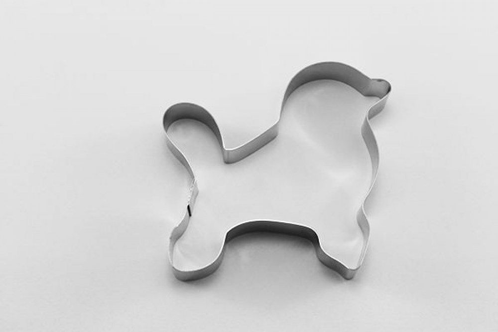 caniche