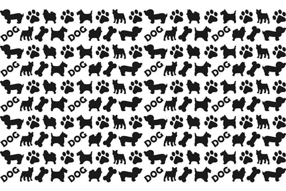 perritos